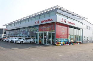 东营有多少汽车店